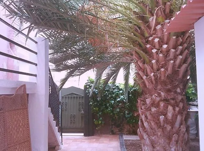 Apartamento Estudio En Chalet